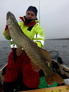 IMG-20171109-WA0000.jpg IMG-20171109-WA0000.jpg