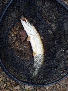 20171108_084023.jpg 20171108_084023.jpg