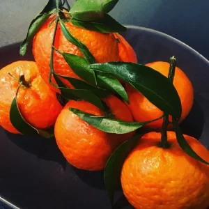 5D5B46F2-9CCA-403B-B895-BD617312AB59.webp 5D5B46F2-9CCA-403B-B895-BD617312AB59.webp