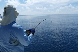 SAM_1013.JPG SAM_1013.JPG