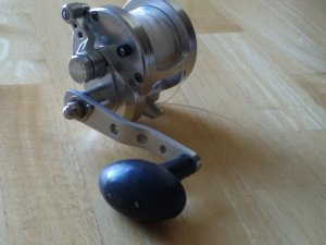 IMG_20171125_113419.jpg