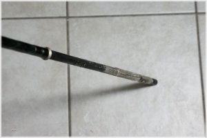 IMG_5428.comp.jpg IMG_5428.comp.jpg