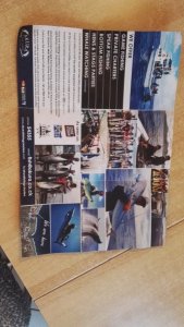 IMG_20171204_093127.jpg