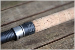 IMG_5450.comp.jpg IMG_5450.comp.jpg