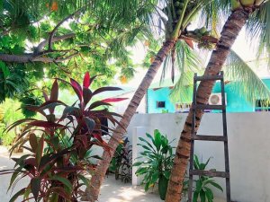 23032722_1602389449811474_6318038726786452752_n.jpg 23032722_1602389449811474_6318038726786452752_n.jpg