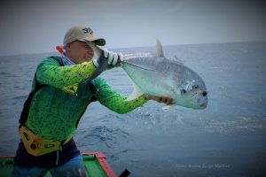 IMG_6506.JPG IMG_6506.JPG