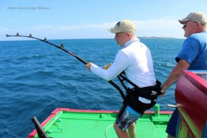 IMG_6533.JPG IMG_6533.JPG