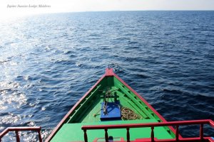 IMG_6595.JPG IMG_6595.JPG