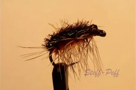 orange shellback.webp