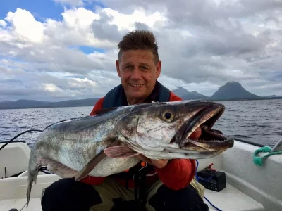 IMG-20170816-WA0015 (1).webp