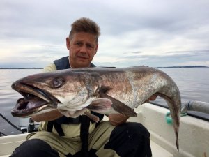 IMG-20170817-WA0011.jpg IMG-20170817-WA0011.jpg