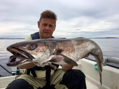 IMG-20170817-WA0011.webp IMG-20170817-WA0011.webp