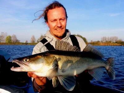 Zander neu bearbeitet.webp