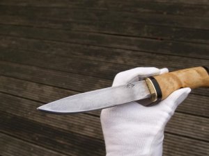 PB125879.jpg PB125879.jpg