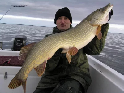 11,5 kg 114 nov13 - Kopie.webp