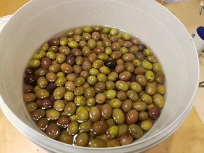 20180120_174432.webp 20180120_174432.webp