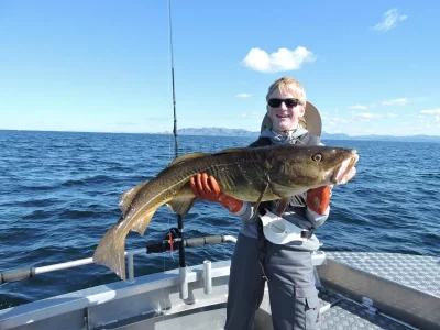 DSCN4429.webp DSCN4429.webp