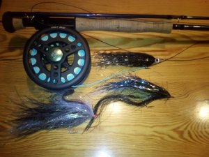 IMG_20180106_202912.jpg IMG_20180106_202912.jpg