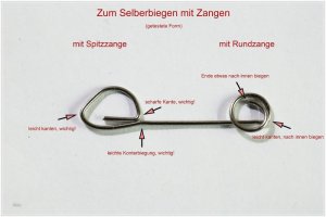 IMG_5568_1.comp.jpg IMG_5568_1.comp.jpg