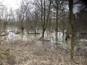 N8YtpVg9SGKlQDoW5M6DlA.jpg N8YtpVg9SGKlQDoW5M6DlA.jpg