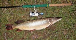 DSCI3555-2.jpg DSCI3555-2.jpg