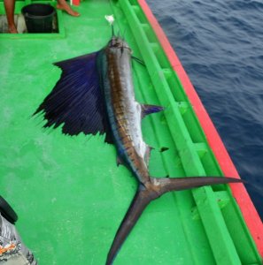 2018-01-30 10.38.44.jpg