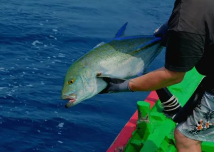 2018-01-30 10.34.48.webp