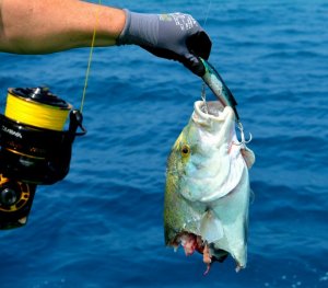 2018-01-30 10.33.43.jpg