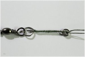 IMG_5578.comp.jpg IMG_5578.comp.jpg