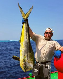 2018-02-01 17.17.17.jpg