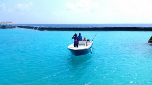 2018-02-03 13.36.24.jpg