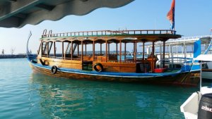 2018-02-02 20.55.13.jpg