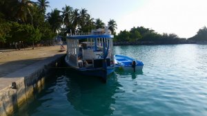 2018-02-02 20.54.33.jpg