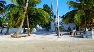 2018-02-02 20.53.41.jpg