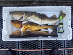 Norwegen 2015 012.JPG Norwegen 2015 012.JPG