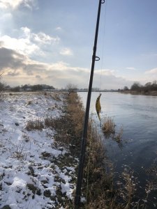 B4C223A1-3952-4D73-9B66-31DAEC7992BA.jpeg B4C223A1-3952-4D73-9B66-31DAEC7992BA.jpeg