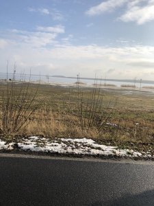 9368C413-94FB-4DE5-A6E2-1A75393FB304.jpeg 9368C413-94FB-4DE5-A6E2-1A75393FB304.jpeg