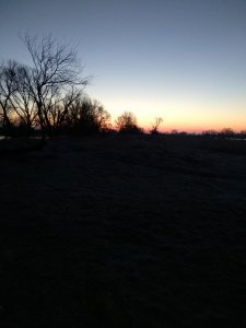 IMG_20180206_071753.jpg IMG_20180206_071753.jpg