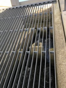 80DAAC44-AA2E-40AE-88F0-FCA9B92D0107.jpeg 80DAAC44-AA2E-40AE-88F0-FCA9B92D0107.jpeg