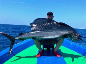 2018-02-05 20.19.35.jpg