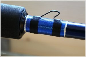 IMG_5646.comp.jpg