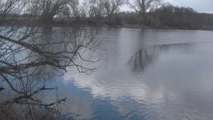 PIC_0135.JPG PIC_0135.JPG