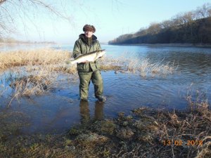 DSCN0017.JPG DSCN0017.JPG