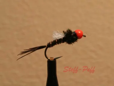 IMG_7561 pumpkin head midge.webp