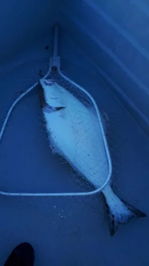 94234D60-59CB-4AD7-8F5D-D85CD24E887E.webp 94234D60-59CB-4AD7-8F5D-D85CD24E887E.webp