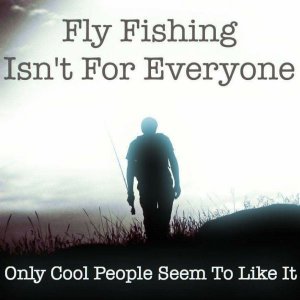 28167275_10215347328862379_8199526375238449874_n.jpg 28167275_10215347328862379_8199526375238449874_n.jpg