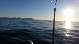 IMG-20180225-WA0002.jpeg