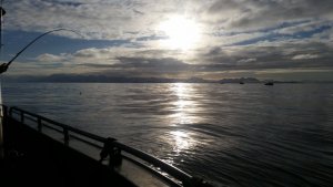 IMG-20180226-WA0004.jpeg