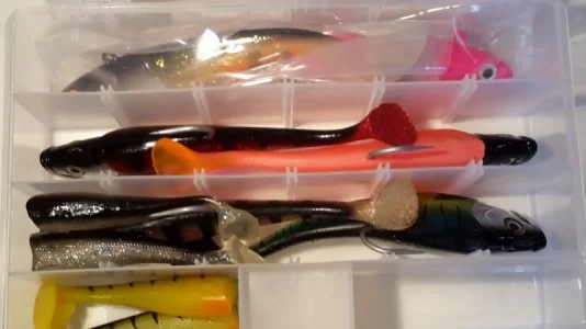 20180227_094442.webp 20180227_094442.webp