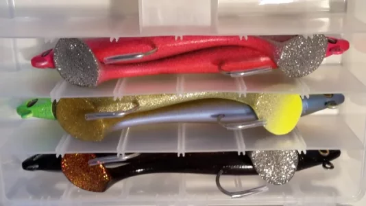 20180227_094254.webp 20180227_094254.webp